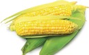 Sweetcorn Sale