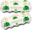 Woodland-Size-6-Eggs-10-Pack Sale