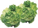 Unwrapped-Iceberg-Lettuce Sale