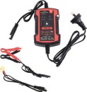 SCA-12V-25A-Intelligent-Battery-Charger Sale