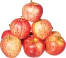 Loose-Royal-Gala-Apples Sale