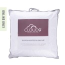 Cloud-9-Gusseted-Euro-Pillow-Case Sale