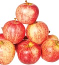 Loose-Royal-Gala-Apples Sale