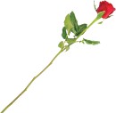 Single-Rose Sale