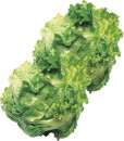 Unwrapped-Iceberg-Lettuce Sale