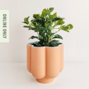 bbb-Flower-Planter-Peach-Blue-Large Sale