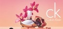 Calvin-Klein-Euphoria-EDP-100ml Sale