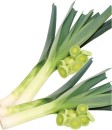 Leeks Sale