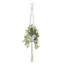 Hanging-Plant Sale