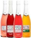 NEW-Canella-White-Peach-Bellini-Canella-Strawberry-Rossini-Canella-Blood-Orange-Mimosa-or-Canella-Mandarin-Puccini-750mL Sale