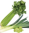 Leek-or-Whole-Bunch-Celery Sale
