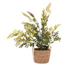 64cm-Mentha-Plant Sale