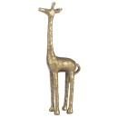 Kiann-Giraffe Sale