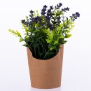 Everlasting-Purple-Flowers-Grass-In-Paper-Pot Sale