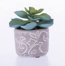 Everlasting-Green-Succulent-In-Grey-Pot Sale