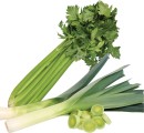 Leeks-or-Celery-Bunch-Whole Sale
