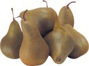 Loose-Beurre-Bosc-Pears Sale