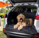 20-off-Cabin-Crew-Pet-Travel-Accessories Sale