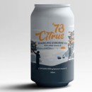 73-Citrus-Sparkling-Gisborne-OJ-330ml Sale