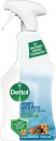 Dettol-Multi-Purpose-Trigger-Cleaner-For-Homes-With-Pets-750ml Sale