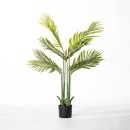 Taya-120cm-Palm Sale