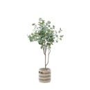 Dollar-Tree Sale