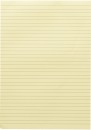 Whitcoulls-Lined-Pad Sale