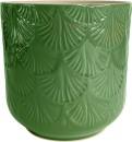 14cm-Palm-Indoor-Plant-Pot Sale