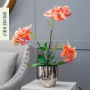 Aster-Artificial-Orchid Sale