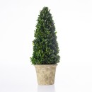 Everlasting-Mateus-Topiary-Cone-Large-53cm Sale