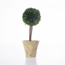 Everlasting-Mateus-Topiary-Ball-Large-40cm Sale