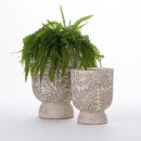 Eira-Planters Sale