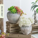 Tay-Round-Planters Sale