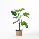 Everlasting-Potted-Monstera-90cm Sale