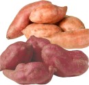 Loose-Red-or-Orange-Kūmara Sale
