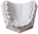 WhipMix-Ortho-Stone-15kg-White Sale
