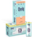 Cheeky-Hard-Iced-Tea-Range-5-10-x-330mL-Cans-or-Cheeky-Tropical-Gin-Juice-5-10-x-250mL-Cans Sale