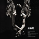 Suede-Antidepressants-DLX-CD Sale