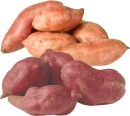 Loose-Red-or-Orange-Kūmara Sale