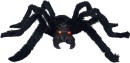 Galah-Giant-Moving-Spider-With-Light-Up-Eyes Sale