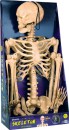 Lytworx-16m-Bendy-Skeleton-With-LED-Eyes Sale