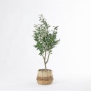 Artificial-Sita-Olive-Tree Sale