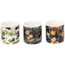 Citronella-Set-of-3-Candles-Dark-Flowers Sale