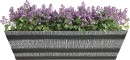 Tussock-Whiskey-Trough-Planter Sale