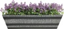 Tussock-Whiskey-Trough-Planter Sale