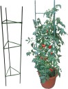 Tussock-Tomato-Cage-Stakes-210cm Sale