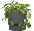 NEW-Tussock-Ribbed-Planter-with-Saucer-21x21cm Sale