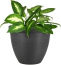 NEW-Tussock-Brushed-Stone-Planter Sale