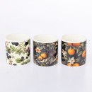 Outsidings-Balmy-Citronella-3pc-Set-Fruits Sale