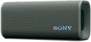 Sony-ULT-FIELD-3-Portable-Wireless-Speaker-Forest-Grey Sale